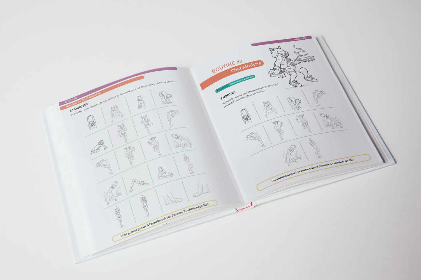 Le Guide de la Souplesse Absolue LIVRE