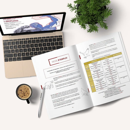 Absolute Bodybuilding - Sybernetics EBOOK (pdf)